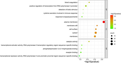 Figure 5. GO analysis of 121 hypomethylated-high expression genes.