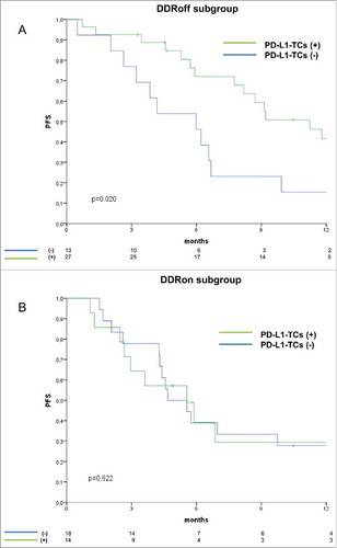 Figure 3. Kaplan-Meier survival curves of progression-free survival (PFS) comparing PD-L1-TC-postive versus their negative counterparts in the DDRoff subgroup (panel A, N = 40) and in the DDRon subset (panel B, N = 32).