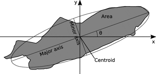 Figure 2. Sketch of the parameters analyses in the images. The ellipse has the same second-order moment as the blob formed by the dust cloth.