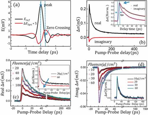 Figure 10. (a) Reference (black curve) and the pump modulated (red curve) electric fields in the time-domain. The vertical dashed lines lie at those points in the time domain used to acquire the frequency-averaged real (peak of the electric field) and imaginary (zero-crossing point) photoconductivity. (b) Pump-probe scans were performed at the peak and at the zero-crossing points. (c) and (d) Fluence-dependent scans of the real and imaginary photoconductivity of WS2, respectively [Citation151].