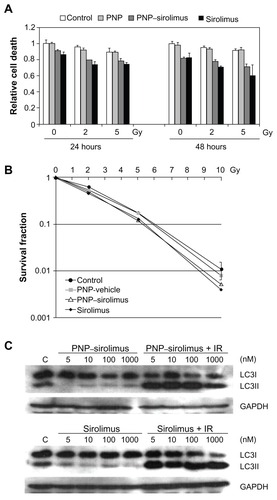 Figure 5 In vitro radiosensitization using PNP–sirolimus. (A) A cellular proliferation was measured 24 or 48 hours after PNP–sirolimus and radiation treatment by a CCK-8 assay. (B) The survival fraction of PNP–sirolimus in combination with IR was determined by a clonogenic assay. (C) Western blot analysis for LC3 proteins was performed. C represents the untreated control. GAPDH was used as the loading control.Abbreviations: GAPDH, glyceraldehyde-3-phosphate dehydrogenase; IR, ionizing radiation; PNP, polymeric nanoparticle.