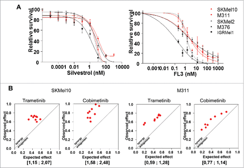 Figure 3. Flavaglines sensitize NRAS-mutated resistant cell lines and synergize with MEK inhibitors. (A) Short-term growth-inhibition assay of the indicated cell lines treated with increasing concentrations of silvestrol or FL3. Cell viability was determined using the WST-1 cell proliferation assay. The data are presented as the mean +/− SEM (n = 3). (B) Isobologram of the effect of the combination of trametinib or cobimetinib plus FL3 at fixed concentration (4,1 nM) on SKMel10 and M311 cell lines. The Bliss index is shown in square brackets.