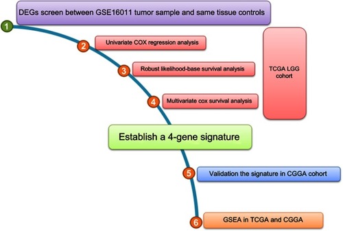 Figure S1 Flowchart of the present study.Abbreviations: DEGs, differentially expressed genes; TCGA, The Cancer Genome Atlas; LGG, lower grade glioma; CGGA, Chinese Glioma Genome Altas; GSEA, gene set enrichment analysis.