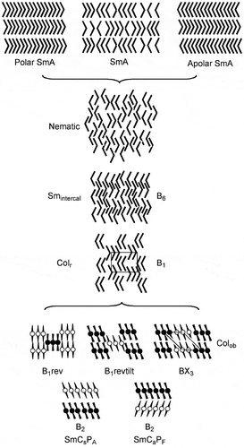 Figure 31. Structures and categorisations of ‘bent-core liquid crystals’. This figure is adapted from a slide given to JWG by Professor Sadashiva from his lecture at York University [Citation24].