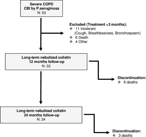 Figure 1 Flow chart. Flow-chart illustrating the patients treated with nebulized colistin at Respiratory Care Day Unit during a 10-year period (2005–2015) and the patients who received nebulized colistin for at least three months and were finally included in the study.