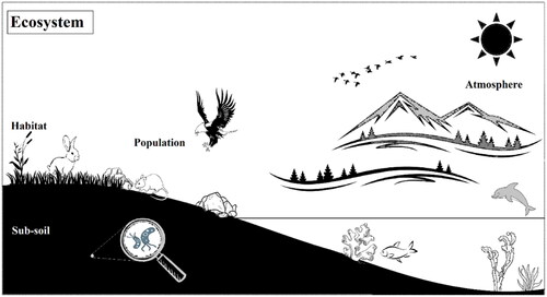 Figure 1. The ecological ecosystem.