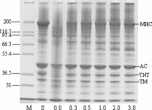 Figure 3 SDS-PAGE pattern of Pacific whiting surimi paste added with chicken plasma at different levels induced by linear heating from 20 to 90°C at a rate of 1°C/min. M: protein marker, S: surimi, MHC: myosin heavy chain, AC: Actin, TNT: troponin-T, TM: tropomyosin.