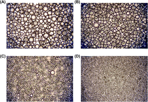 Figure 5 Optical micrographs of poly(GDMA-co-GDGDA) beads with different stirring rates. Stirring rates: (A) 250, (B) 500, (C) 750, and (D) 1000 rpm, respectively. Original magnification: 125×.