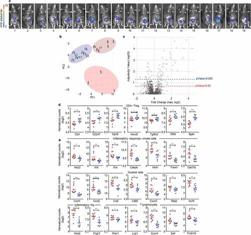 Figure 6. Early detection of opposing immune microenvironments in CRC tumors.