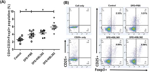 Figure 6. Effects of oral administration of L. rhamnosus KBL365 or L. paracasei KBL382 on Treg in mesenteric lymph nodes (MLNs) of AD mice. The MLN cells isolated from NC/Ng mice in Control, DFE+PBS, KBL365-treated, and KBL382-treated mice. (A and B) The number of CD4+ CD25+ Foxp3+ cells was calculated based on the percentage of total MLN cell counts. Statistical analyses were performed using the Mann–Whitney U-test for comparison with DFE+PBS mice (N= 7–9 mice per group). Error bars represent SEM. * P< .05.