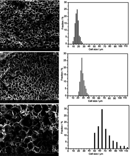 Figure 4 The effect of saturation temperature on the pore morphology and its distribution (in terms of diameter) of GO modified poly(propylene-carbonate) foams: (A) 20°C for 2 hrs, (B) 50°C for 2 hrs, and (C) 80°C for 2 hrs.Notes: Reprinted from Yang G, Su J, Gao J, Hu X, Geng C, Fu Q. Fabrication of well-controlled porous foams of graphene oxide modified poly (propylene-carbonate) using supercritical carbon dioxide and its potential 1820 tissue engineering applications. J Supercrit Fluids. 2013;73:1–9. Copyright 2013, with permission from Elsevier.Citation134