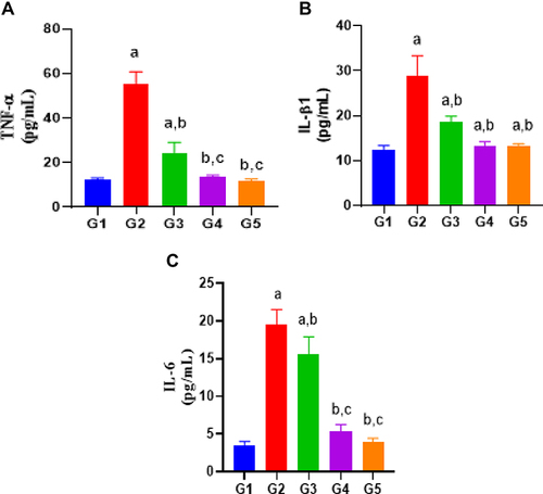 Figure 1 (A) Plasma TNF-α levels between different groups. Group G1 – Control, G2 - Indomethacin 30 mg/kg, G3- Indomethacin+ 2,3-Dimethylquinoxaline (30 mg/kg body weight), G4 - Indomethacin+ 2,3-Dimethylquinoxaline (60 mg/kg body weight), G5 - Indomethacin+ esomeprazole 30 mg/kg. (B) Plasma IL-β1 levels between different groups. Group G1 – Control, G2 - Indomethacin 30 mg/kg, G3- Indomethacin+ 2,3-Dimethylquinoxaline (30 mg/kg body weight), G4 - Indomethacin+ 2,3-Dimethylquinoxaline (60 mg/kg body weight), G5 - Indomethacin+ esomeprazole 30 mg/kg. (C) Plasma IL-6 levels between different groups. Group G1 – Control, G2 - Indomethacin 30 mg/kg, G3- Indomethacin+ 2,3-Dimethylquinoxaline (30 mg/kg body weight.), G4 - Indomethacin+ 2,3-Dimethylquinoxaline (60 mg/kg body weight), G5 - Indomethacin+ esomeprazole 30 mg/kg.