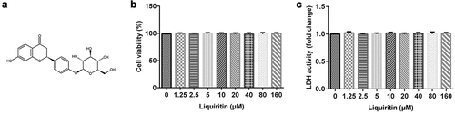 Figure 1. Effects of liquiritin on cell viability in human vascular smooth muscle cells (hVSMCs). (a) The chemical formula of liquiritin. (b) The viability of hVSMCs was measured using an MTT assay. (c) The lactate dehydrogenase (LDH) release of hVSMCs was detected using an LDH Cytotoxicity Assay Kit.