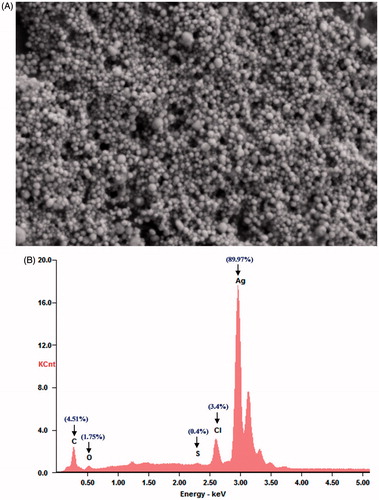 Figure 6. (A) FESEM images and (B) EDS spectrum of synthesized PGE-AgNPs.