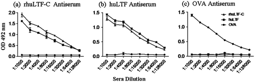 Fig. 2. Antigenicity and immunogenicity of the rhuLTF-C fragment.