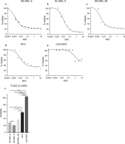 Figure 1. Human melanoma cell lines exhibit differential sensitivity to T-VEC-mediated lysis in vitro. Cells (5 × 103) were seeded on 96-well plates and treated with T-VEC at the indicated multiplicity of infection (MOI) and MTS assay performed on day 5 post T-VEC infection to measure cell viability of (A) SK-MEL-2 (B) SK-MEL-5 (C) SK-MEL-28 (D) M14 and (E) LOX-IMVI at 5 days post T-VEC treatment. (F) Cell viability at 5 days post 0.3 MOI T-VEC treatment for selected cell lines. Each experiment was performed two or more times and similar results were obtained. Data are presented as mean ± SEM, and statistical differences between groups were measured by one way ANOVA. **p < 0.01, ***p < 0.001, ****p < 0.0001.