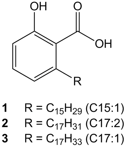 Figure 1.  Structures of ginkgolic acids 1–3 isolated from the leaves of G. biloba.