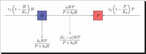 Figure 1. Interaction diagram for the prey-predator model.