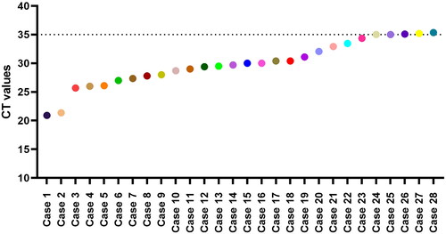 Figure 3. The graphical representation depicted the real-time PCR Ct values of all 28 VZV positive cases.