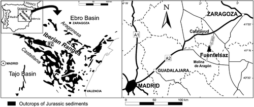 Figure 1 Geological scheme of the Mesozoic outcrops in the Fuentelsaz area(FZ) and the location of the sites mentioned in the text.