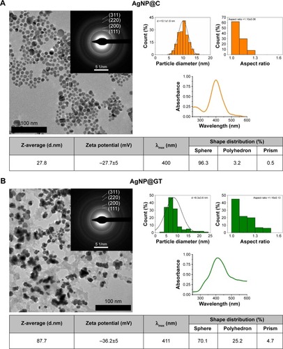 Figure 1 TEM images with corresponding size, aspect ratio and shape distributions, electron diffraction patterns, Characterization of silver nanoparticles stabilized (A) by citrate (AgNP@C) and (B) by green tea extract (AgNP@GT) consisting of TEM images with corresponding size, aspect ratio and shape distributions, electron diffraction patterns, UV-Vis spectra with characteristic surface plasmon resonance peaks, furthermore mean values for the average hydrodynamic diameter and zeta potential of the particles (pH ~7.2).Abbreviations: AgNP@C, citrate-capped nanosilver; AgNP@GT, green tea extract-stabilized silver nanoparticle; TEM, transmission electron microscopy.