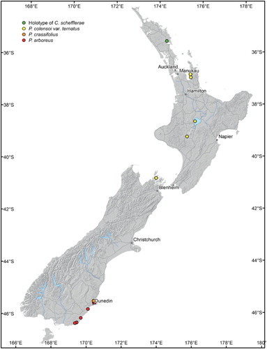 Figure 1. Collection localities of Chaenothecopsis schefflerae in New Zealand. The different host species are indicated by colour.