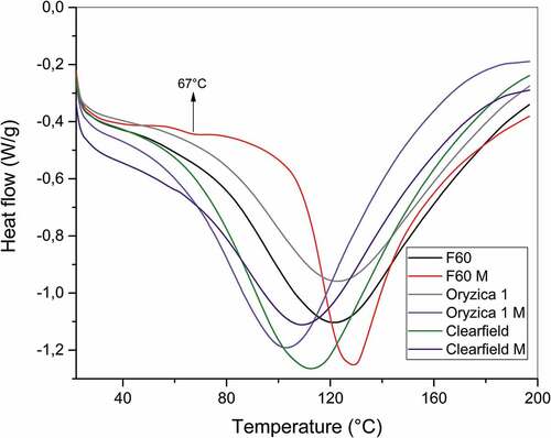 Figure 3. DSC Thermograms of NS and MS.