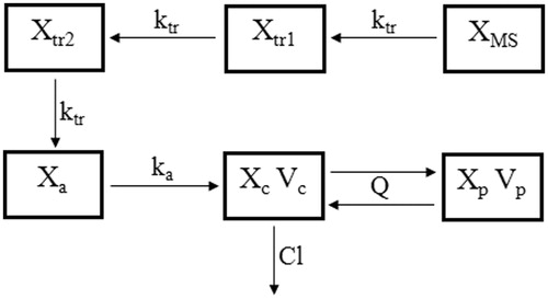 Figure 1. The schematic pharmacokinetic model of the exenatide microspheres. Solid lines with arrows represent the transit, elimination or distribution of the pharmacokinetic indices. The model is described by Equations (2)–(9). Definitions of parameters are provided in Table 1.