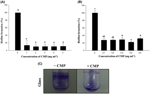 Fig. 1. Effects on biofilm formation of the active components in CMP.Note: Biofilm formation by L. monocytogenes Scott A in the presence of a high (A; 1, 2, 3, 4, and 5 mg/mL) or low (B; 0.1, 0.2, 0.3, 0.4, and 0.5 mg/mL) concentration of CMP on a 96-well plate. Biofilm formation on the abiotic surfaces was quantified by the experimental procedure in the Materials and Methods section under static aerobic growth conditions in MWB for 24 h. Mean values for three independent experiments are shown with the standard deviation. Microscopic analyses of the inhibition by CMP of biofilm formation by L. monocytogenes Scott A on a glass surface (C). Cells of L. monocytogenes Scott A were incubated on a glass surface in an MWB medium in the presence (0.4 mg/mL) or absence of CMP and analyzed by optical microscopy for biofilm formation after 24 h. The cells were stained with 0.1% CV for optical microscopy. The area of the biofilm ring, as typically observed in the microtiter assay, was visualized over the full width.
