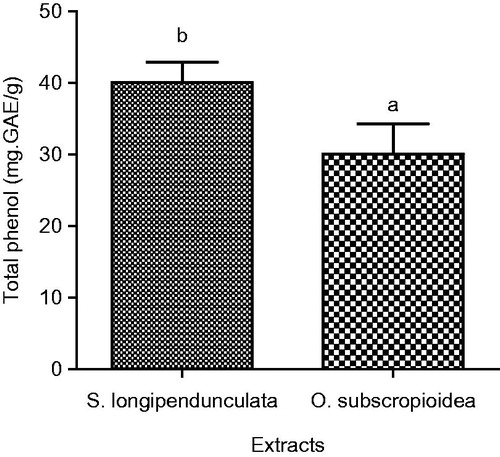 Figure 1. Total phenol content of aqueous extract of S. longipendunculata root and O. subscropioidea leaf. Values with different alphabet (a and b) are statistically different.