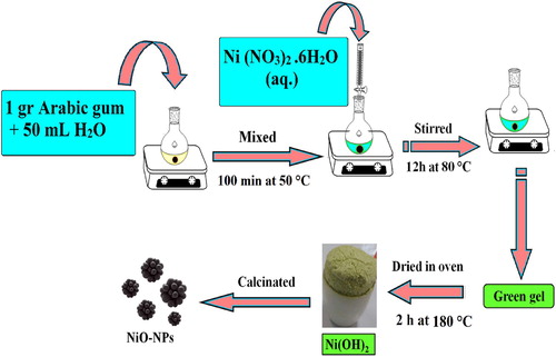 Figure 1. Plan of the biosynthesis NiO-NPs.