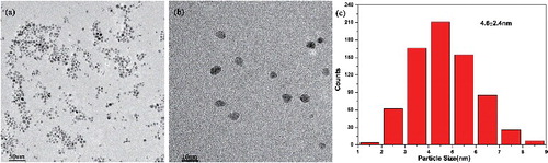 Figure 1. (a and b) TEM images; (c) size distribution of PdNPs.