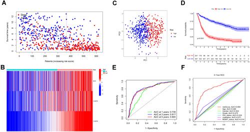 Figure 4 Validation of the prognostic model in the CGGA cohort. (A and B) Survival status and the expression of three risk genes of patients between low and high-risk groups. (C) PCA showed the distribution of primary gliomas in the CGGA cohort. (D) KM survival curve of overall survival in the testing set. (E) Time-dependent ROC curve and AUC values for estimating the efficiency of the risk model at 1-, 3-, 5-year. (F) ROC curve of risk score and other indicators at 5 years in the testing set.