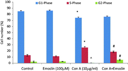 Figure 5. Effect of emodin on cell cycle progression. Splenocytes were cultured with ConA (10 µg/ml), emodin (100 µM), or ConA + emodin and stained with propidium iodide for cell cycle analysis. Bar diagram shows percentage of cells in indicated phase of cell cycle. The frequency (%) for different phases of cell cycle was generated from three experiments and expressed as average percentage change from untreated control ± SD. In ConA-alone set; ^p < 0.05, *p < 0.001 versus control. In ConA + emodin set; #p < 0.01 versus control.