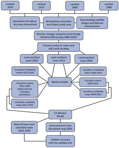 Figure 2. Study procedures and data processing.