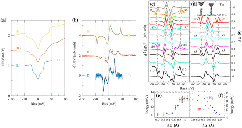 Figure 6. (a and b) IETS of H2, HD, and D2 on h-BN. (a) dI/dV of H2 (open circle), HD (upward triangle), and D2 (open square). The conductance steps at 43.7, 32.8, and 20.9 meV represent rotational J = 0 → 2 transitions. The values for H2 and D2 are characteristic for the para-H2 and ortho-D2 configuration, respectively. The low-energy steps close to the Fermi energy are attributed to phonon gaps of the commensurate molecular layer. The spectra were vertically offset by 0.5 nA/V for clarity. (b) Numerical derivative of (a), d2I/dV2. The black full lines show fits with a multi-peak Lorentzian function. The shoulder at around 13 meV (arrows) for HD is attributed to a J = 0 → 1 transition. (c and d) d2I/dV2 spectra of H2 and HD on Au(1 1 0) taken at different tip–substrate separation, respectively. The sample bias VB is changed from 5 (bottom) to 120 mV (top) in (c) and from 5 (bottom) to 70 mV in (d). IT is kept at 2 nA for all these spectra. A z–V curve is measured to convert the change in VB to the corresponding change in the tip–substrate separation (z). The tunneling gap distance at VB = 5 mV and IT = 2 nA is used as the reference point (z = 0). The uncertainty in z is around 9.5 pm. The shiftings of the rotational and vibrational excitation energies are indicated by the dashed lines. The magnified line shapes of the rotational excitation are also presented. (e) The J = 0 → 2 rotational excitation energy of hydrogen increases from 41 to 43 mV as z increases by 0.1 nm. The horizontal dashed line indicates for reference the excitation energy of a free molecule. (f) The v = 0 → 1 vibrational excitation energy decreases from 18 to 7.5 mV as z increases by 0.1 nm for H2, and from 15 to 8 mV as z increases by 0.08 nm for HD. Figure reproduced from Refs. [Citation85,87].