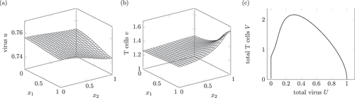 Figure 1. Dynamics of a solution of system (1) interpreted as a healing infection course. (a) and (b) show the virus and T cell population at t=1.5. Around (x1,x2)=(1,1), the T cell population is higher due to the inflow area Θ. Starting with initial conditions u0(x)≡1 and v0(x)≡0, the T cell population increases and the virus vanishes first. Afterwards, the T cells decrease to zero as well, compare the L1(Ω)-phase diagram in (c).