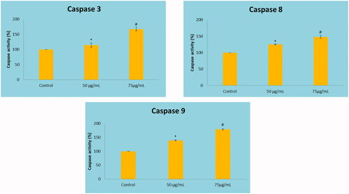 Figure 8. Effect of MT-AuNPs on colorimetric caspase activity in HepG2 liver cancer cells by ELISA method. This experiment was repeated thrice and the bars in the graph represent S.E. (*p<.05, #p<.01).