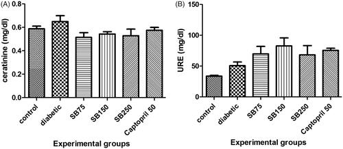 Figure 4. Comparison of serum creatinine (A) and urea (B) levels between the studied groups (SB: Satureja bachtiarica).