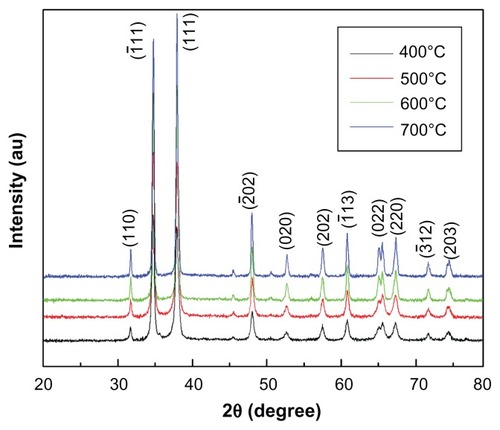 Figure 2 XRD spectra of CuO nanoparticles annealed at different temperatures.Abbreviations: XRD, X-ray diffraction; CuO, copper oxide; AU, units of intensity.