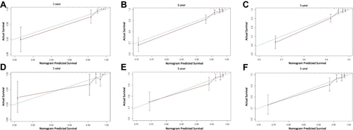 Figure 6 The calibration curve for internal and external validation of the nomogram model.