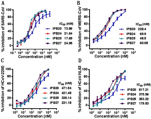 Figure 6. Broad-spectrum inhibitory activity of IPB19-based lipopeptides against divergent human CoVs. The inhibitory activity of IPB19 derivatives against the SARS-CoV (A), MERS-CoV (B), HCoV-NL63 (C) and HCoV-229E (D) pseudovirus infections in Huh-7 cells was determined by single-cycle infection assays. The experiments were repeated three times, and data are expressed as the means ± SD.