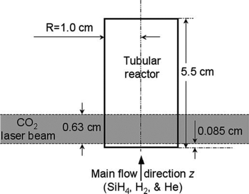 FIG. 1 Schematic of the tubular reactor (not to scale).