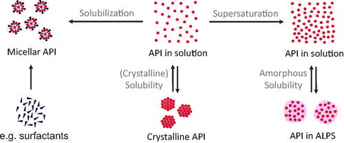 Figure 2. Classification of physicochemical concepts of solubility, supersaturation, and solubilization. Two equilibria of API in solution can be differentiated: (1) the equilibrium between crystalline API and API in solution is referred to the crystalline solubility and (2) the equilibrium between API in amorphous liquid phase separation (ALPS) and API in solution. Compared to equilibrium 1, equilibrium 2 shows a higher concentration of molecularly dissolved drug (referred to as supersaturation). In contrast, solubilization, e.g. by surfactants, does not lead to an increased concentration of molecularly dissolved drug.