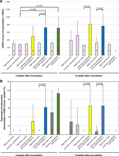 Figure 7 Histological assessment of osteochondral tissue regeneration by ICRS II scoring system.Notes: (A) The histological quality of cartilage regeneration by scaffolds was evaluated by the ICRS II scoring system (Table 1). A higher score in the ICRS II scoring system represents tissue resembling healthy articular cartilage (control groups: n=3, each scaffold-inoculated group: n=4). (B) Histological assessment of subchondral bone regeneration was evaluated using parameters for subchondral abnormality in the ICRS II scoring system (control groups: n=3, each scaffold-inoculated group: n=4).Abbreviations: HAP, hydroxyapatite; ICRS, International Cartilage Repair Society.