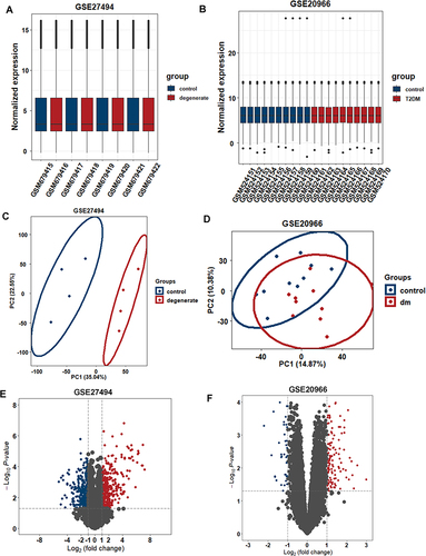 Figure 2 Expression levels in GSE27494 and GSE20966 via data wrangling. (A and B) Normalized expression matrices of GSE27494 and GSE20966 demonstrated by boxplot. (C and D) PCA diagrams. (E and F) DEGs of GSE27494 and GSE20966 shown by volcano plot.