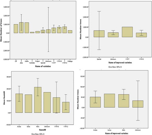 Figure 7. Mean number of improved coffee trees produced per head: top left Sidama, top right Gedeo, bottom left Wolayta and bottom right Gamo Goffa Zones