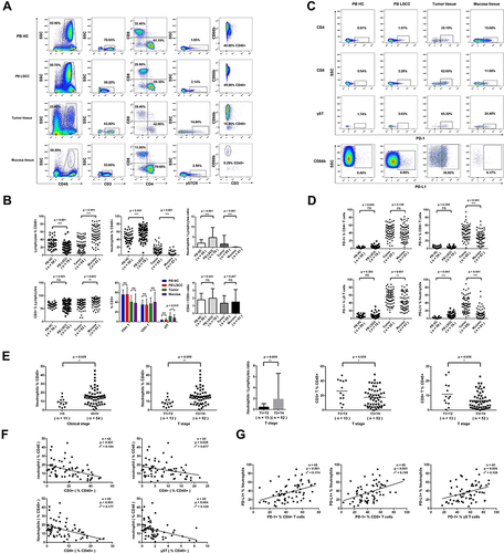 Figure 2 Immune cell infiltration profiles in LSCC. (A) Representative polychromatic dot plots displayed CD45+ leukocytes, CD3+ T cells, CD4+ T cells, CD8+ T cells γδT cells (γδTCR+) and neutrophils (CD66b+) in peripheral blood, tumor tissues and normal tissues from LSCC patients or healthy controls. (B) Calculative distribution of lymphocytes, neutrophils, NLR, CD3+T cells, CD4+T cells, CD8+T cells, γδT cells, and CD4+T cells /CD8 + T cells ratio in peripheral blood, tumor tissues and normal tissues. (C) Representative PD-1 expression on CD4+T/CD8+T/γδT cells and PDL-1 expression on CD66b+ neutrophils from the peripheral blood, tumor tissues and normal tissues. (D) Statistics analysis of PD-1+ CD4+T, PD-1+ CD8+T, PD-1+ γδT cells and PDL-1+ CD66b+ neutrophils. (E) Association analysis of TANs, NLR, CD3+ T cells or CD8+ T cells and tumor staging. (F) Linear correlation between TANs and CD3+ T cells, CD4+T cells, CD8+ T cells, or γδT cells. (G) Linear correlation between PD-L1+ TANs and PD-1+ CD4+ T cells, PD-1+ CD8+ T cells, or PD-1+ γδT cells. Each dot represents an independent data point as determined by flow cytometry. ns = p > 0.05, *p < 0.05, **p < 0.01, ***p < 0.001.