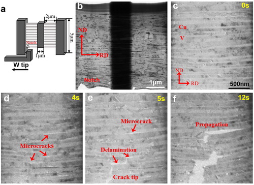 Figure 2. Fracture testing design and sequential TEM images of fracture behavior of Cu/V NMMs. (a) Schematic of in situ testing design. (b) Typical morphology of FIB-fabricated sample. (c–f) Microcrack-mediated fracture process in Cu/V NMMs.