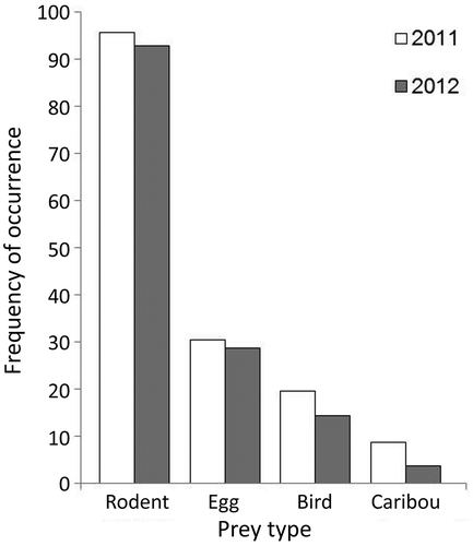 Figure 6. Winter diet of Arctic foxes in northern Manitoba estimated from scat samples collected from dens in April 2011 (n = 46) and 2012 (n = 28). Frequency of occurrence reflects the frequency of each prey type calculated by dividing the number of occurrences of a prey type by the number of faecal samples analysed in each year.